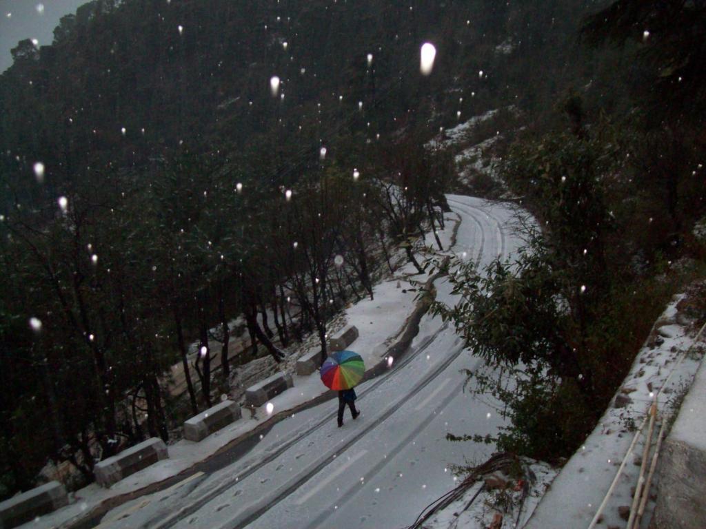 Mountain Villa Mcleodganj Дхарамсала Екстериор снимка